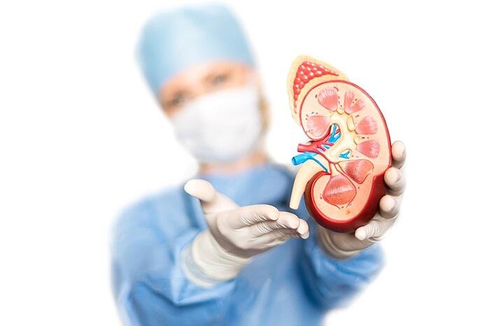 Kidney_care_professionals